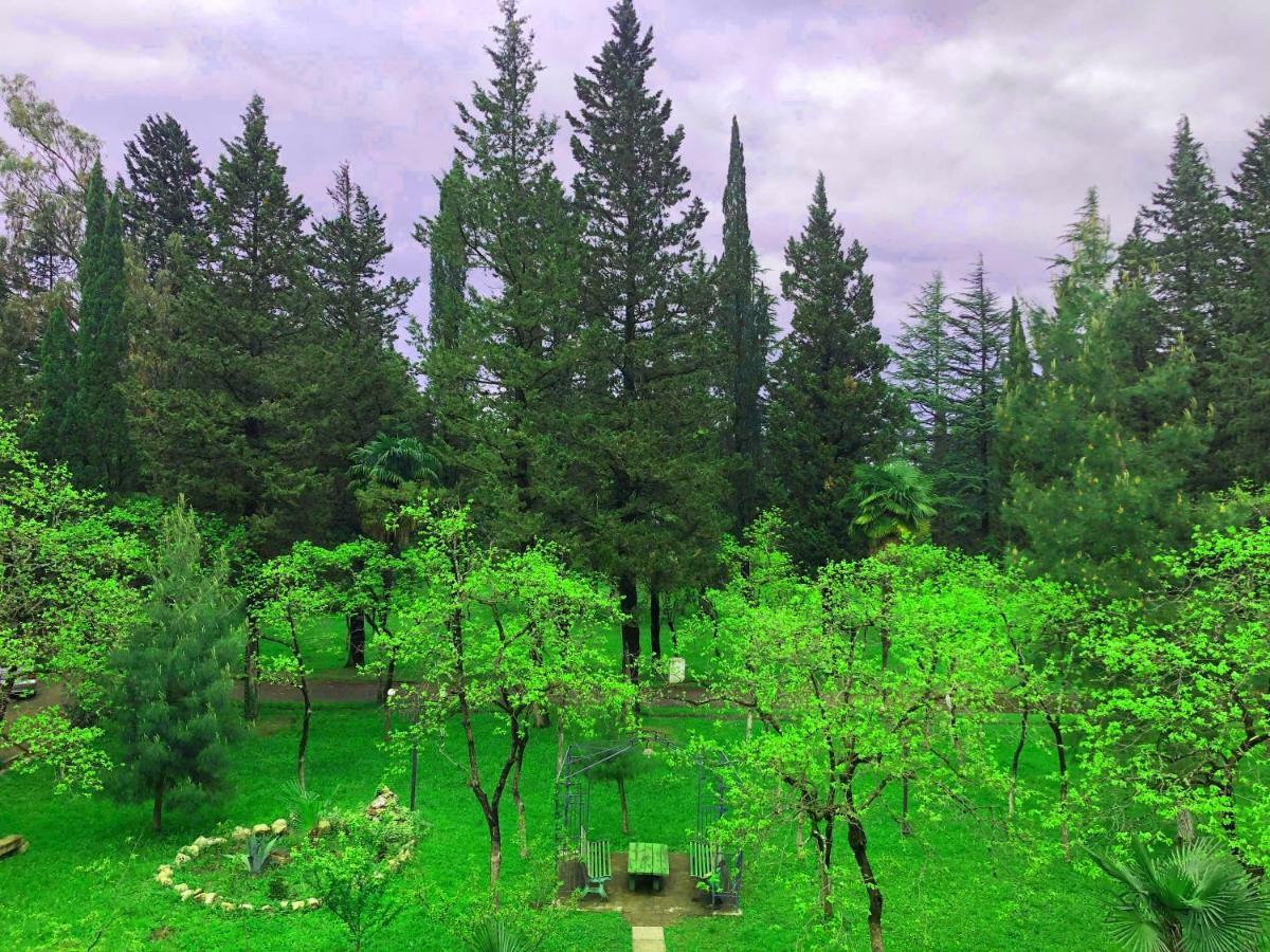 קוטאיסי Imeri Park Hotel מראה חיצוני תמונה